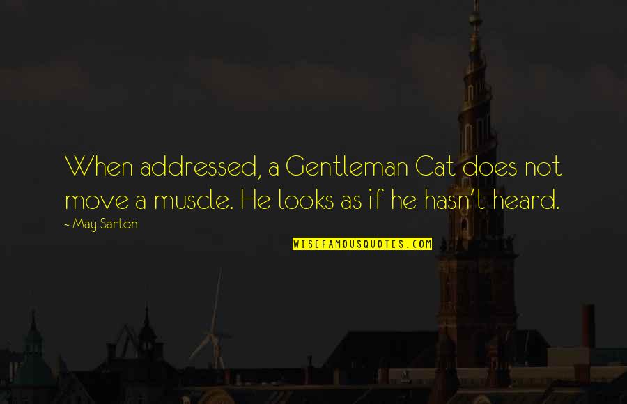 Wiecznie Mlody Quotes By May Sarton: When addressed, a Gentleman Cat does not move Wiecznie Mlody Quotes By May Sarton: When addressed, a Gentleman Cat does not move