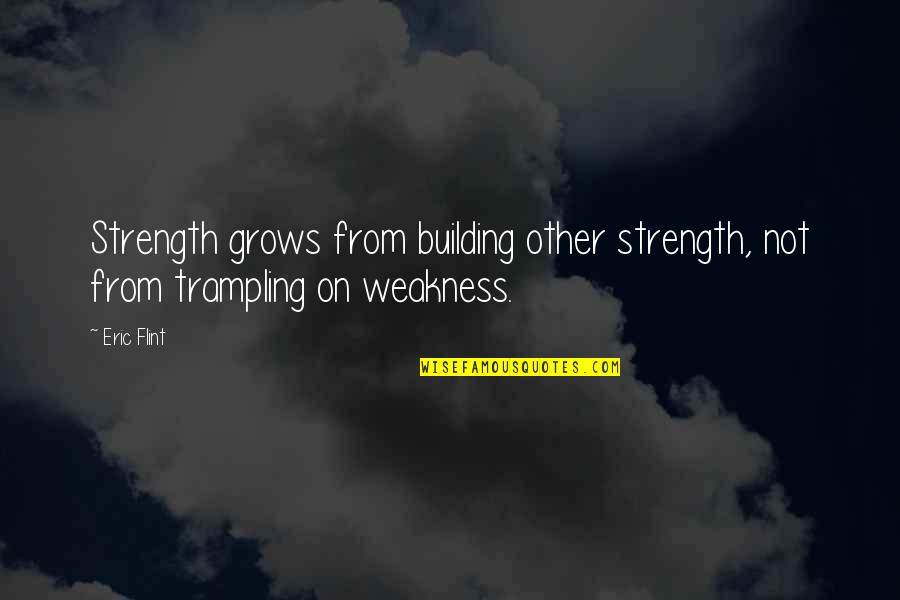 Wiederholung Happy Quotes By Eric Flint: Strength grows from building other strength, not from