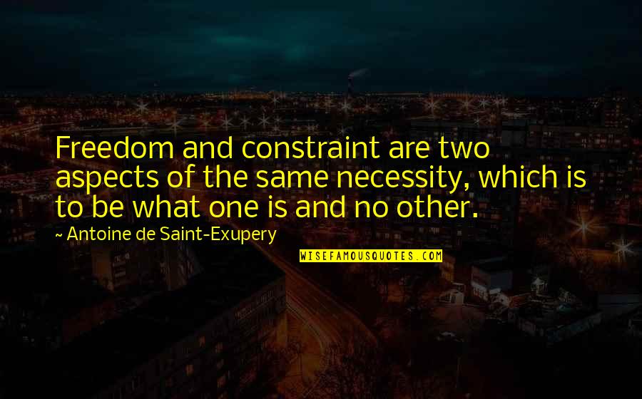 Wiegandt Dui Quotes By Antoine De Saint-Exupery: Freedom and constraint are two aspects of the