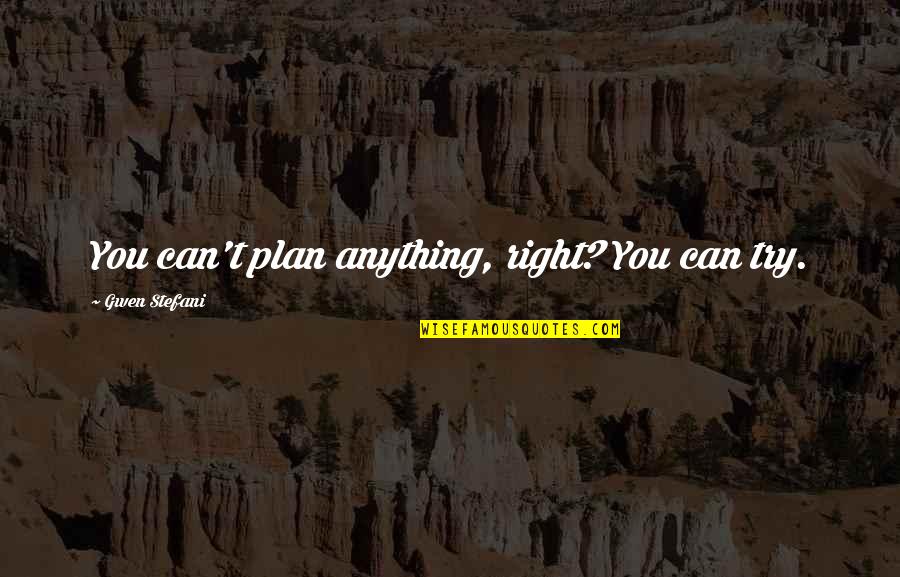 Wierman Norristown Quotes By Gwen Stefani: You can't plan anything, right? You can try.