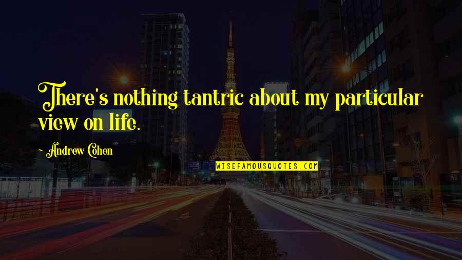 Wiesiolek Dwuletni Quotes By Andrew Cohen: There's nothing tantric about my particular view on Wiesiolek Dwuletni Quotes By Andrew Cohen: There's nothing tantric about my particular view on
