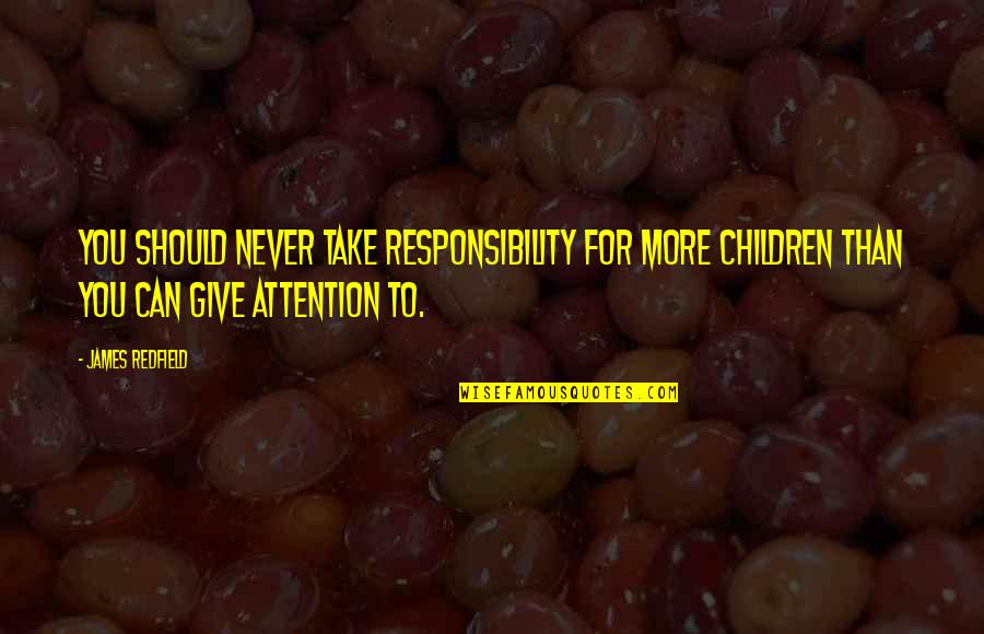 Wiesmyer Quotes By James Redfield: You should never take responsibility for more children