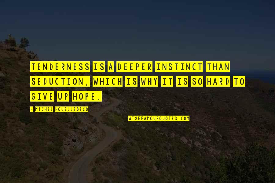 Wietse De Boer Quotes By Michel Houellebecq: Tenderness is a deeper instinct than seduction, which
