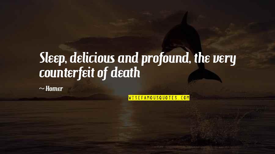 Wife Nagging Quotes By Homer: Sleep, delicious and profound, the very counterfeit of