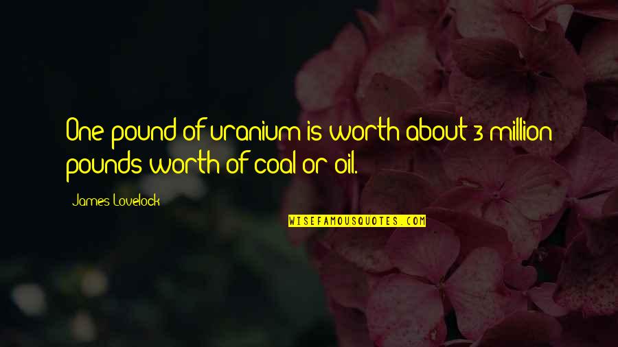 Wifi Quotes By James Lovelock: One pound of uranium is worth about 3