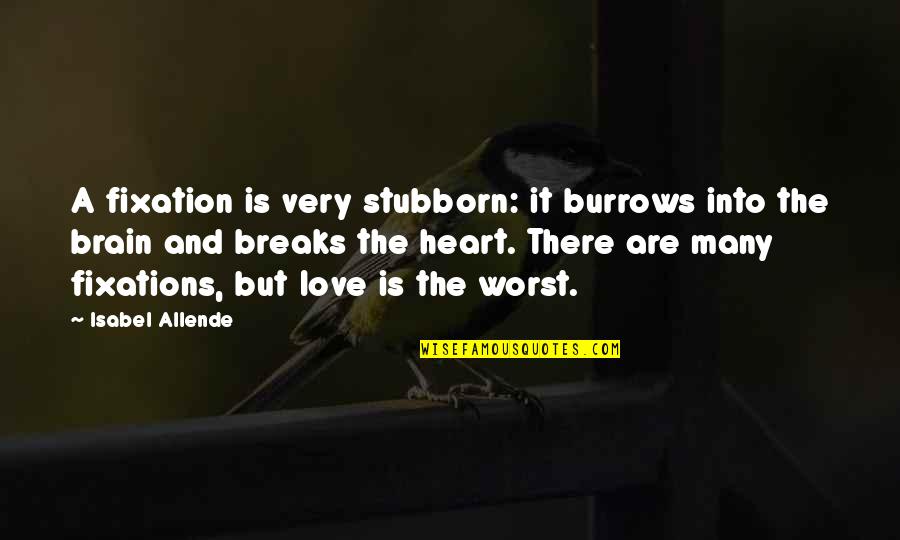 Wijnruit Quotes By Isabel Allende: A fixation is very stubborn: it burrows into Wijnruit Quotes By Isabel Allende: A fixation is very stubborn: it burrows into