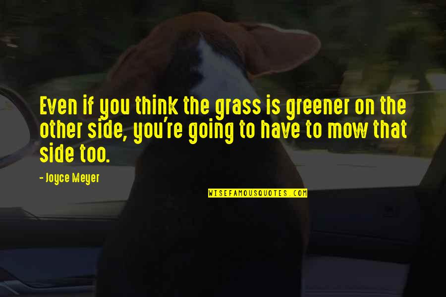 Wil Myers Quotes By Joyce Meyer: Even if you think the grass is greener Wil Myers Quotes By Joyce Meyer: Even if you think the grass is greener