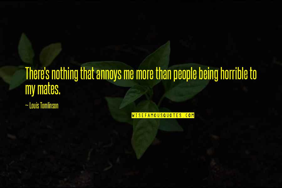 Wilberding Plumbing Quotes By Louis Tomlinson: There's nothing that annoys me more than people
