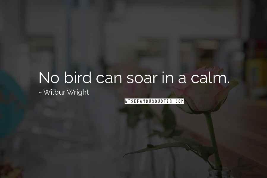 Wilbur Wright quotes: No bird can soar in a calm.