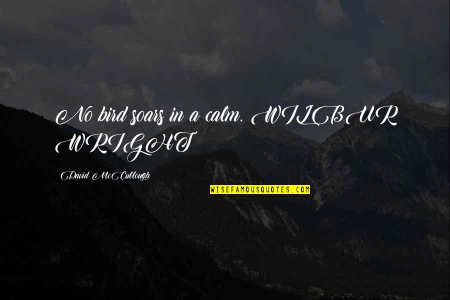 Wilbur's Quotes By David McCullough: No bird soars in a calm. WILBUR WRIGHT