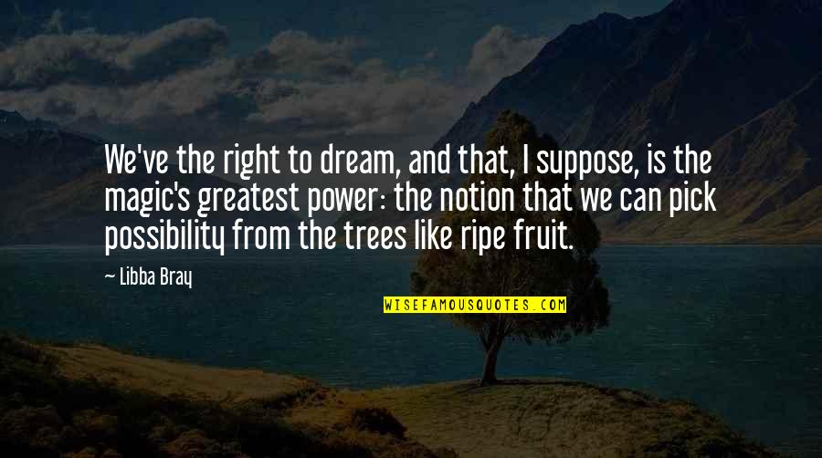 Wilco Quotes By Libba Bray: We've the right to dream, and that, I Wilco Quotes By Libba Bray: We've the right to dream, and that, I