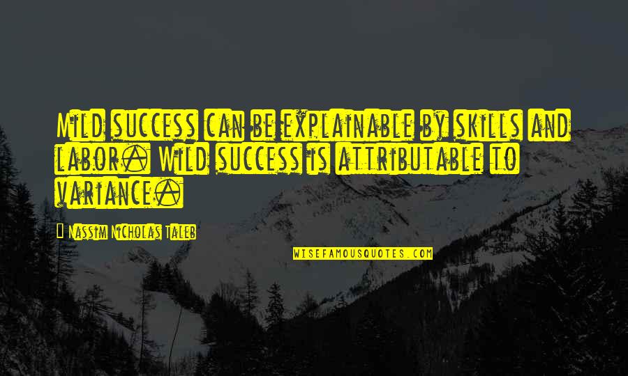 Wilco Song Quotes By Nassim Nicholas Taleb: Mild success can be explainable by skills and
