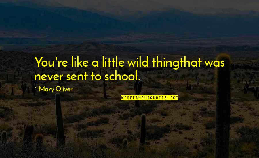 Wild And Untamed Quotes By Mary Oliver: You're like a little wild thingthat was never