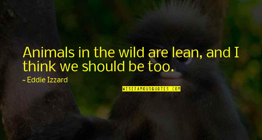Wild Animals Quotes By Eddie Izzard: Animals in the wild are lean, and I Wild Animals Quotes By Eddie Izzard: Animals in the wild are lean, and I