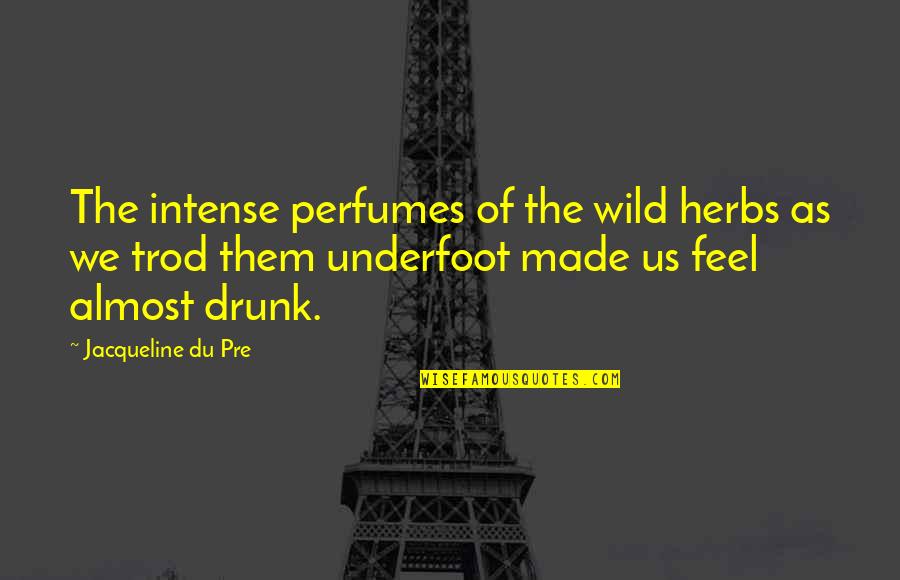 Wild As Quotes By Jacqueline Du Pre: The intense perfumes of the wild herbs as Wild As Quotes By Jacqueline Du Pre: The intense perfumes of the wild herbs as