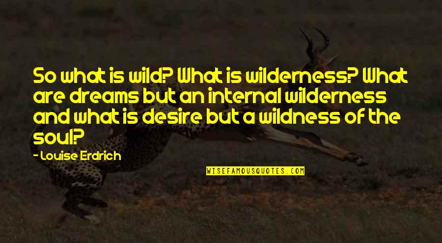 Wild Dreams Quotes By Louise Erdrich: So what is wild? What is wilderness? What