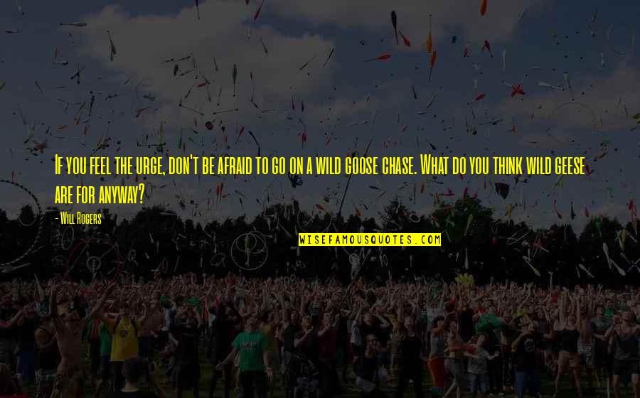 Wild Goose Chase Quotes By Will Rogers: If you feel the urge, don't be afraid