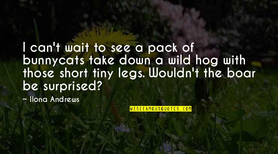 Wild Hog Quotes By Ilona Andrews: I can't wait to see a pack of Wild Hog Quotes By Ilona Andrews: I can't wait to see a pack of
