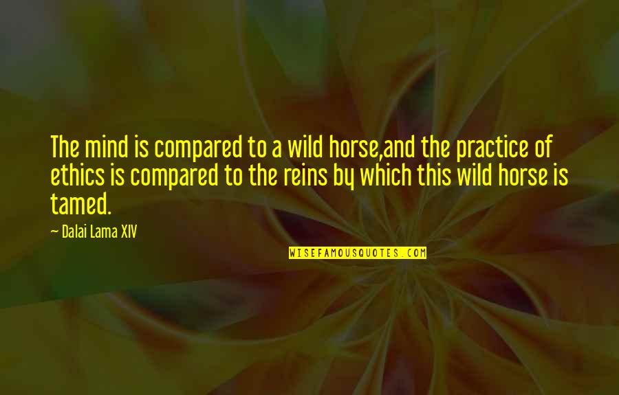 Wild Mind Quotes By Dalai Lama XIV: The mind is compared to a wild horse,and