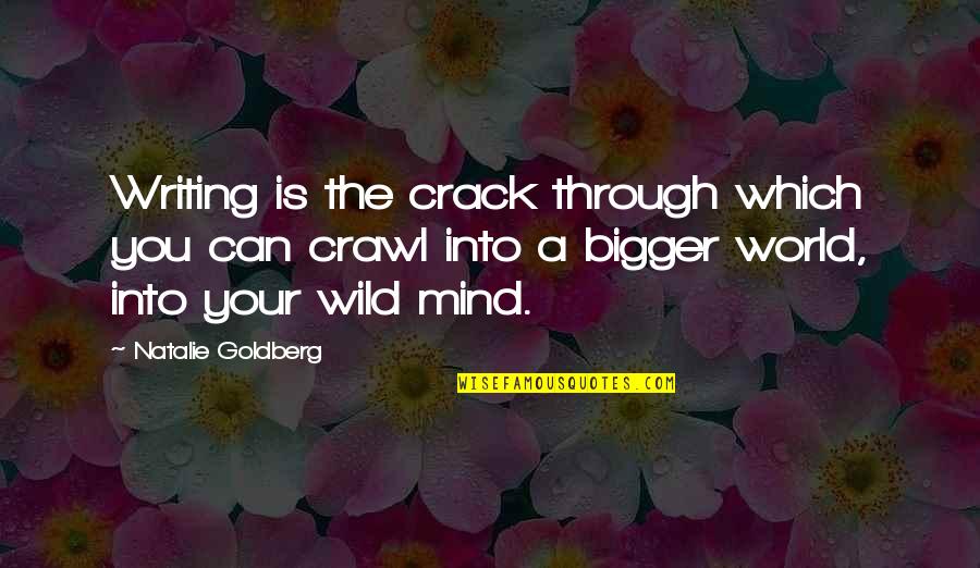 Wild Mind Quotes By Natalie Goldberg: Writing is the crack through which you can