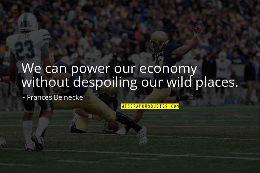 Wild Places Quotes By Frances Beinecke: We can power our economy without despoiling our