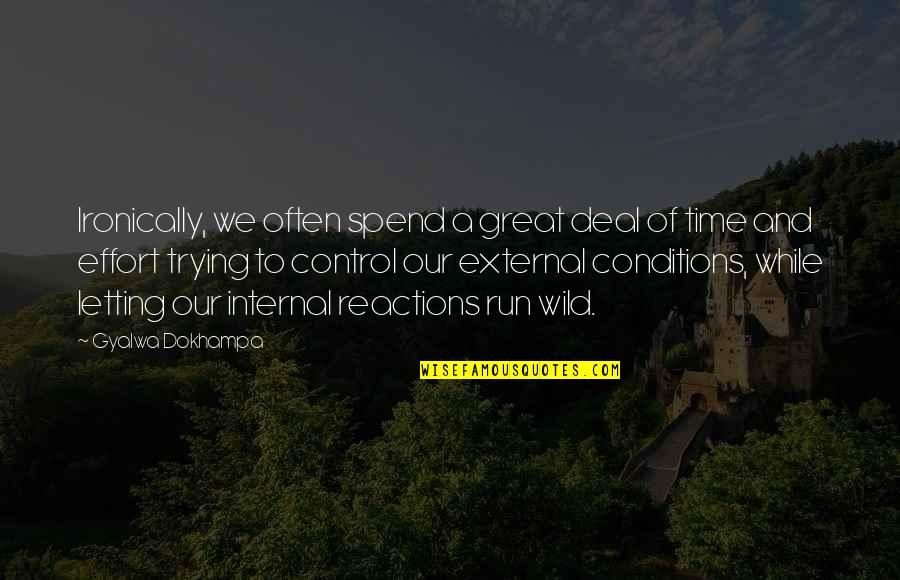 Wild Quotes By Gyalwa Dokhampa: Ironically, we often spend a great deal of