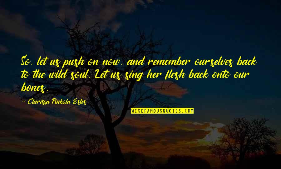 Wild Soul Quotes By Clarissa Pinkola Estes: So, let us push on now, and remember