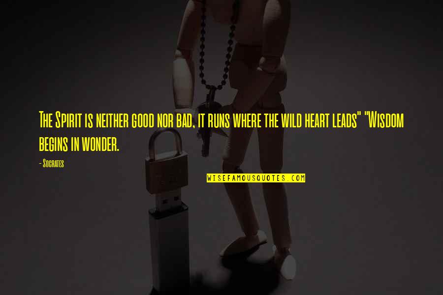 Wild Spirit Quotes By Socrates: The Spirit is neither good nor bad, it