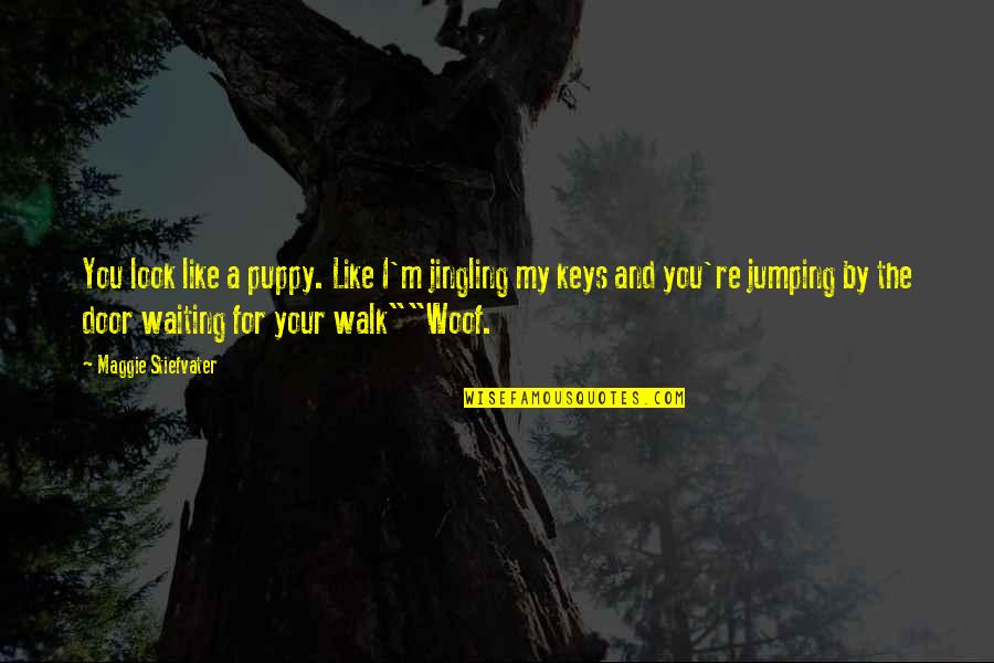 Wild Swans Jung Chang Quotes By Maggie Stiefvater: You look like a puppy. Like I'm jingling Wild Swans Jung Chang Quotes By Maggie Stiefvater: You look like a puppy. Like I'm jingling