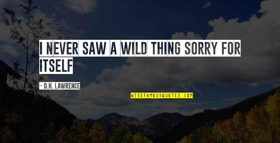 Wild Thing Quotes By D.H. Lawrence: I never saw a wild thing sorry for Wild Thing Quotes By D.H. Lawrence: I never saw a wild thing sorry for