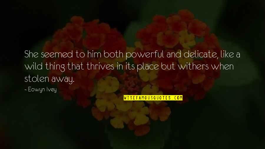 Wild Thing Quotes By Eowyn Ivey: She seemed to him both powerful and delicate, Wild Thing Quotes By Eowyn Ivey: She seemed to him both powerful and delicate,
