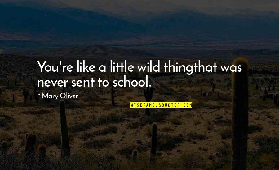 Wild Thing Quotes By Mary Oliver: You're like a little wild thingthat was never