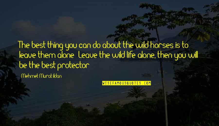 Wild Thing Quotes By Mehmet Murat Ildan: The best thing you can do about the Wild Thing Quotes By Mehmet Murat Ildan: The best thing you can do about the