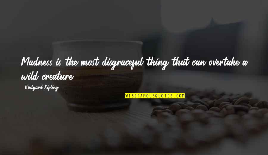 Wild Thing Quotes By Rudyard Kipling: Madness is the most disgraceful thing that can Wild Thing Quotes By Rudyard Kipling: Madness is the most disgraceful thing that can