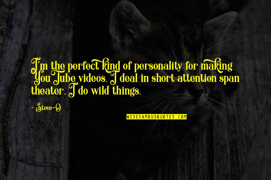 Wild Things 2 Quotes By Steve-O: I'm the perfect kind of personality for making