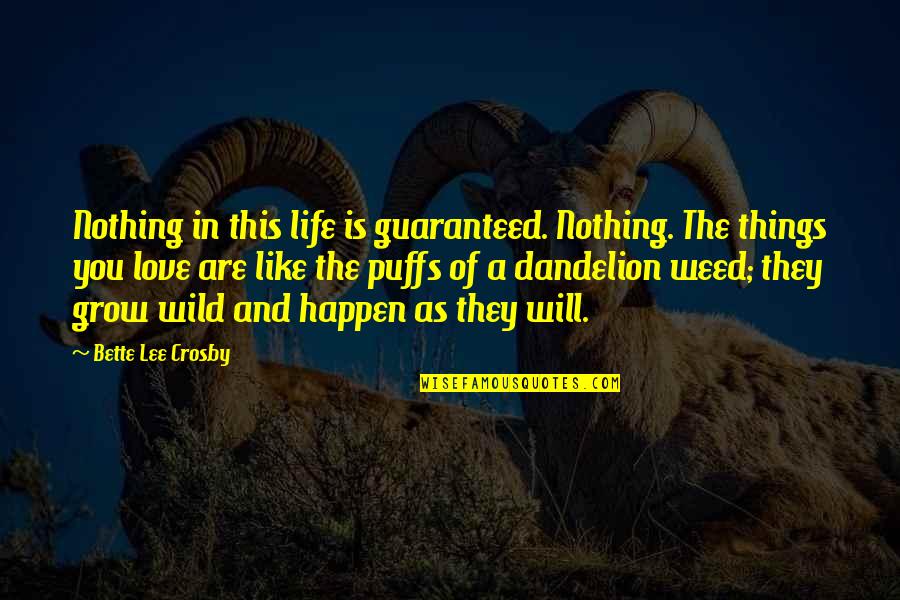 Wild Things Are Quotes By Bette Lee Crosby: Nothing in this life is guaranteed. Nothing. The