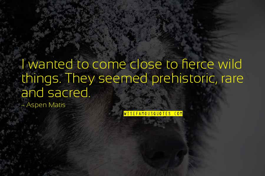Wild Things Quotes By Aspen Matis: I wanted to come close to fierce wild Wild Things Quotes By Aspen Matis: I wanted to come close to fierce wild