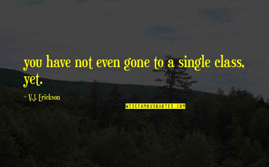 Wild Tree Quotes By V.J. Erickson: you have not even gone to a single