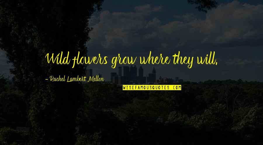Wildabouts Quotes By Rachel Lambert Mellon: Wild flowers grow where they will.