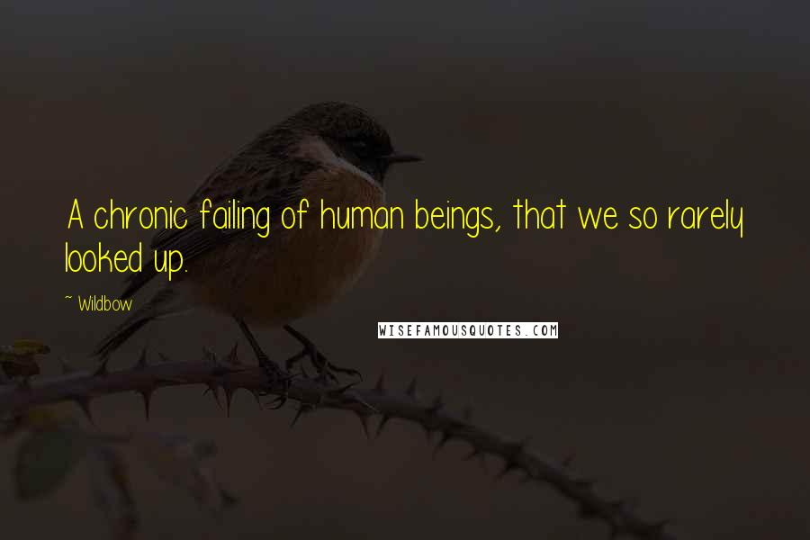 Wildbow quotes: A chronic failing of human beings, that we so rarely looked up.