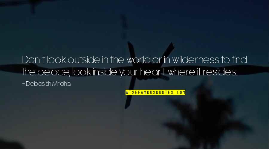 Wilderness And Life Quotes By Debasish Mridha: Don't look outside in the world or in