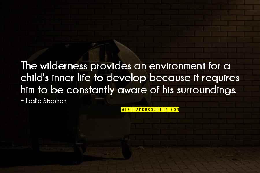 Wilderness And Life Quotes By Leslie Stephen: The wilderness provides an environment for a child's