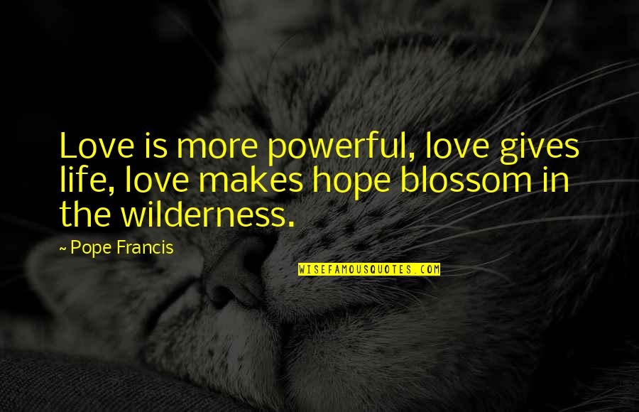 Wilderness And Life Quotes By Pope Francis: Love is more powerful, love gives life, love