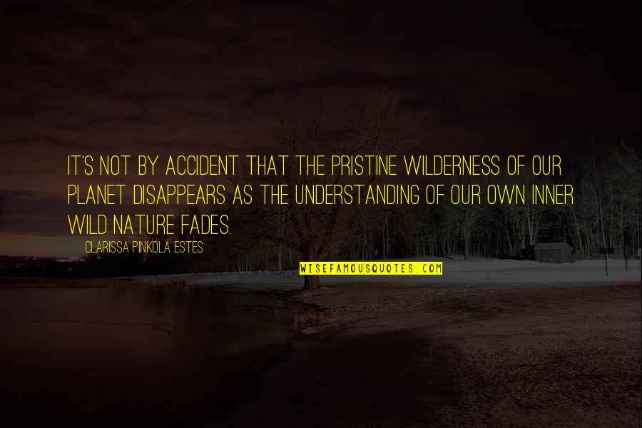 Wilderness From Into The Wild Quotes By Clarissa Pinkola Estes: It's not by accident that the pristine wilderness