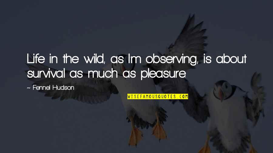 Wilderness From Into The Wild Quotes By Fennel Hudson: Life in the wild, as I'm observing, is