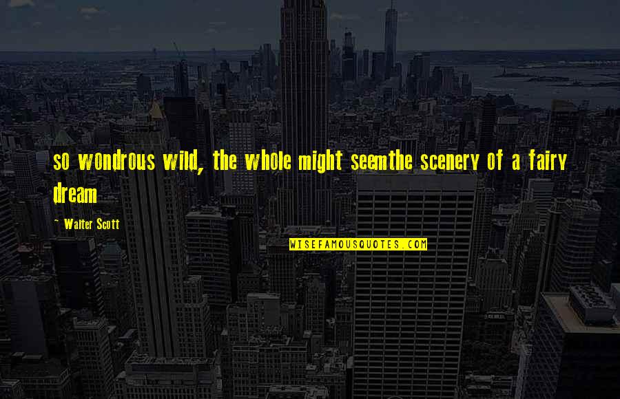 Wilderness From Into The Wild Quotes By Walter Scott: so wondrous wild, the whole might seemthe scenery