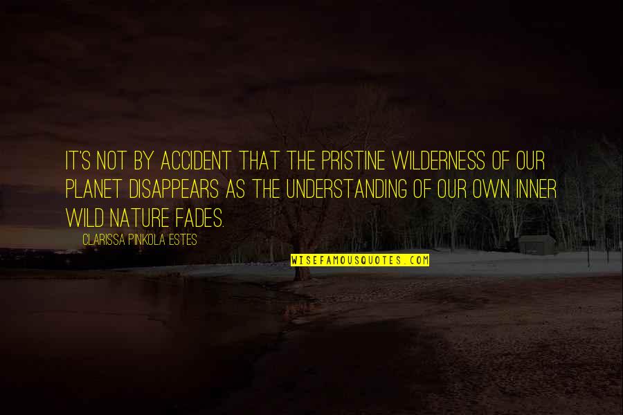 Wilderness Nature Quotes By Clarissa Pinkola Estes: It's not by accident that the pristine wilderness