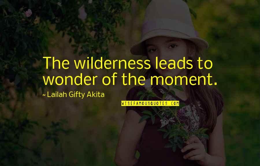 Wilderness Quotes By Lailah Gifty Akita: The wilderness leads to wonder of the moment.