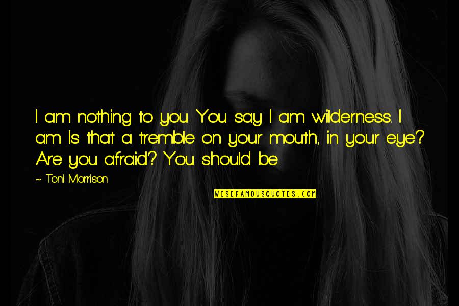 Wilderness Quotes By Toni Morrison: I am nothing to you. You say I