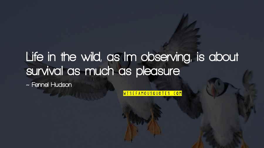 Wilderness Survival Quotes By Fennel Hudson: Life in the wild, as I'm observing, is